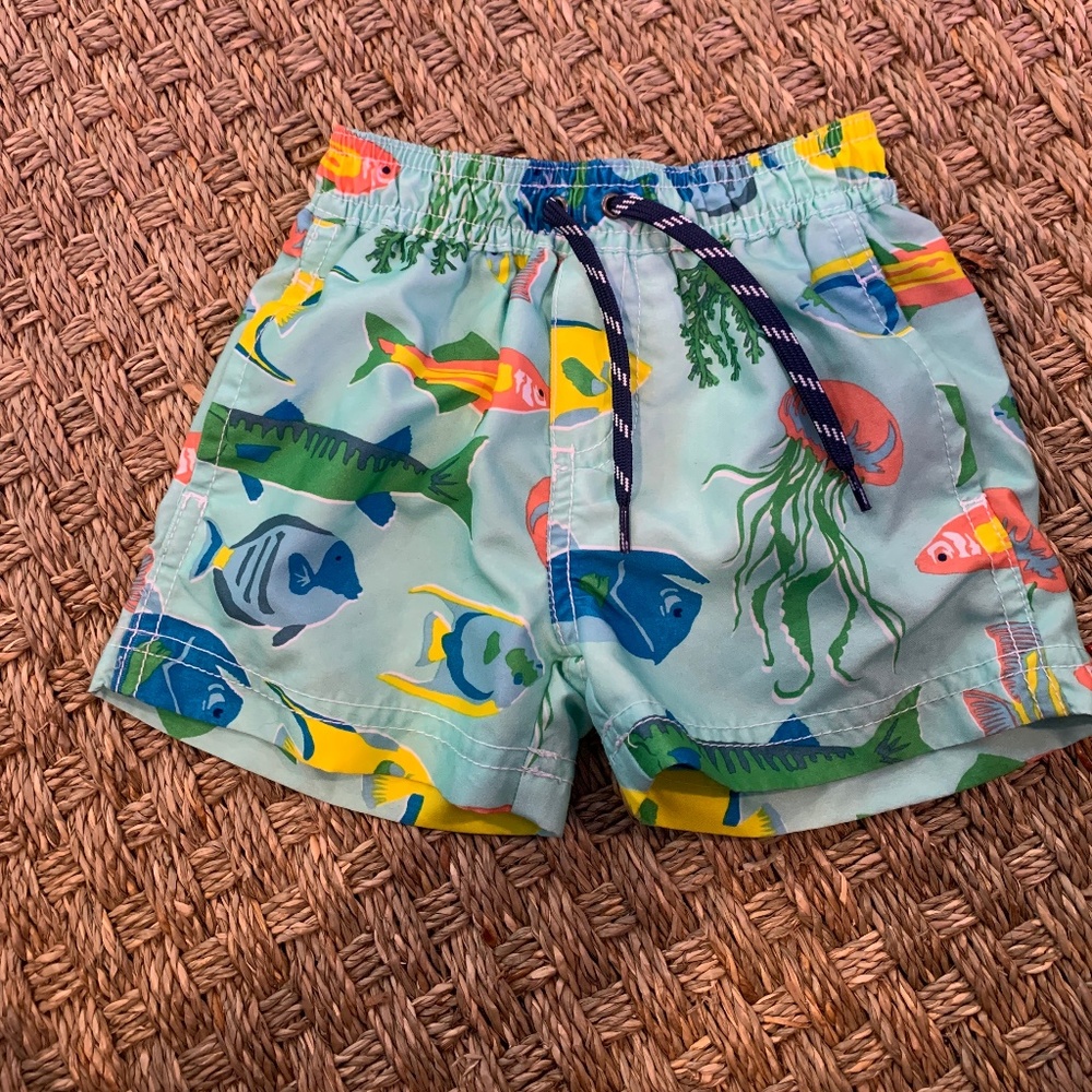 Carter’s swim trunks, 12M